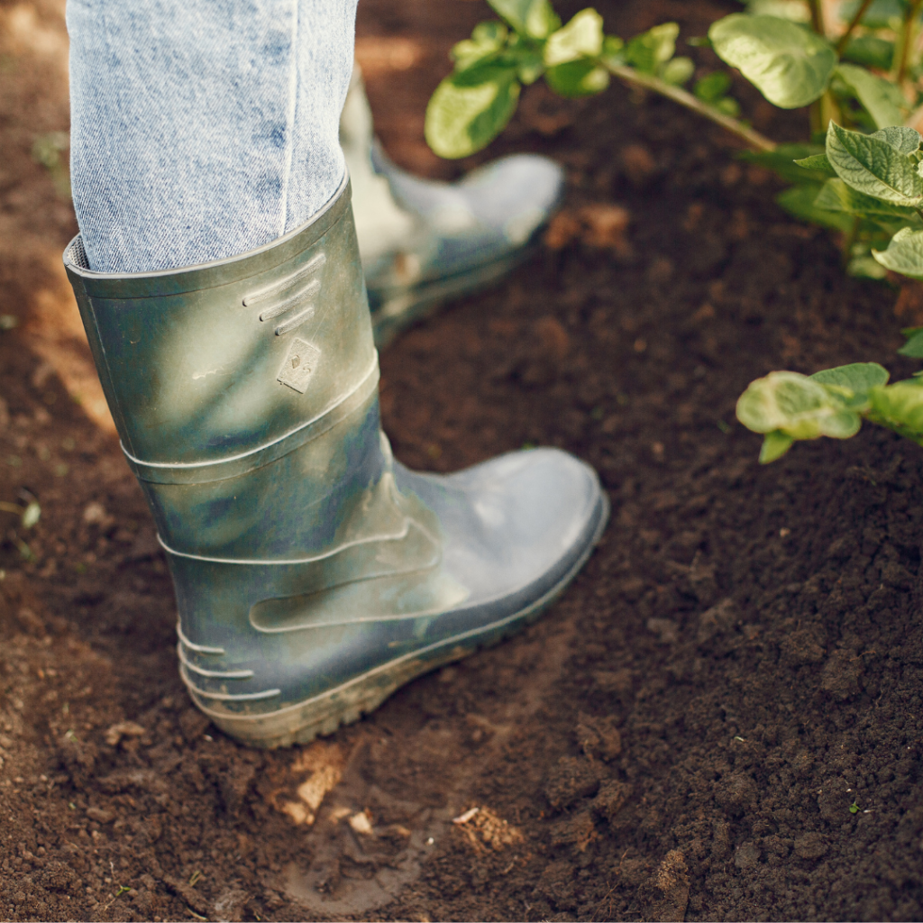 garden boots