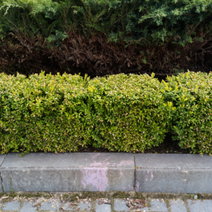 stone garden border