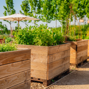 wooden garden bed