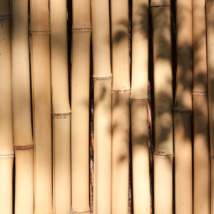 bamboo garden border