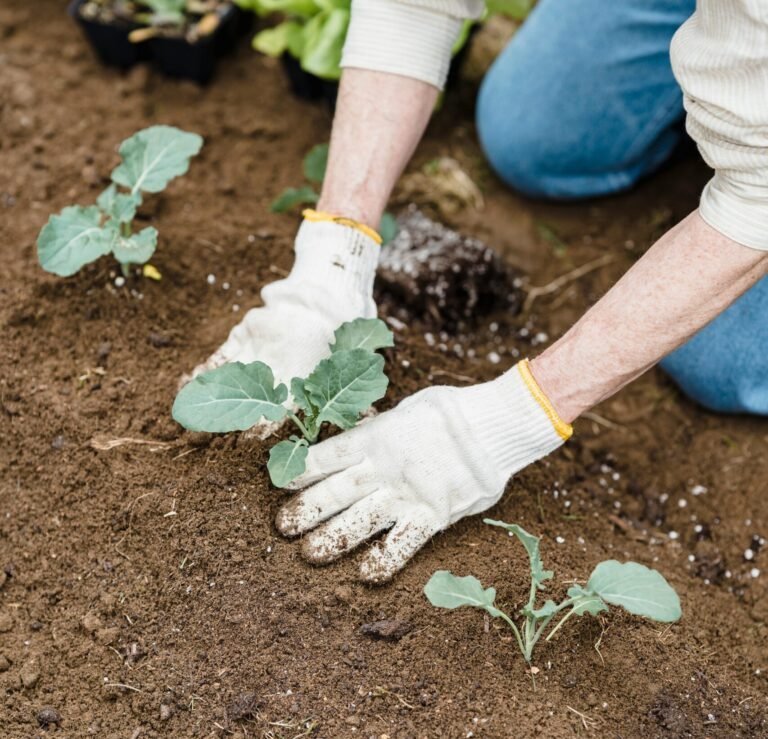 garden gloves