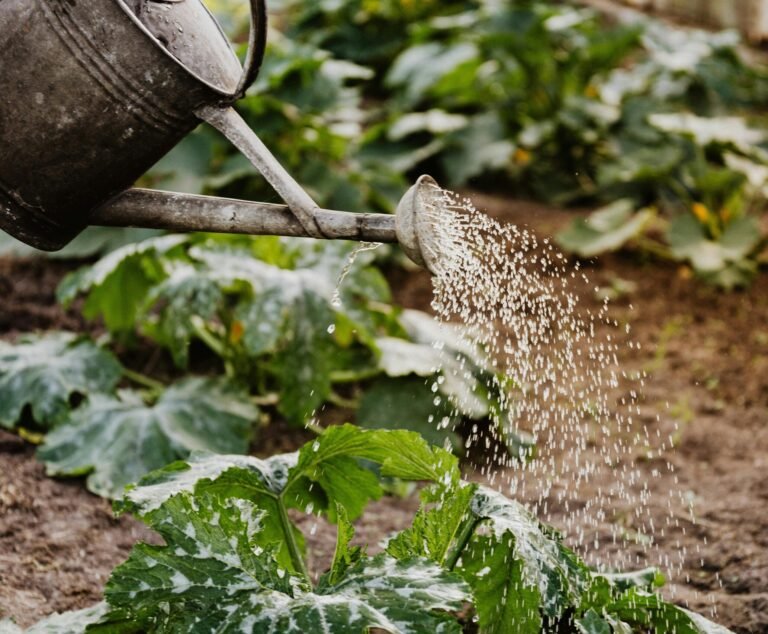 garden watering can