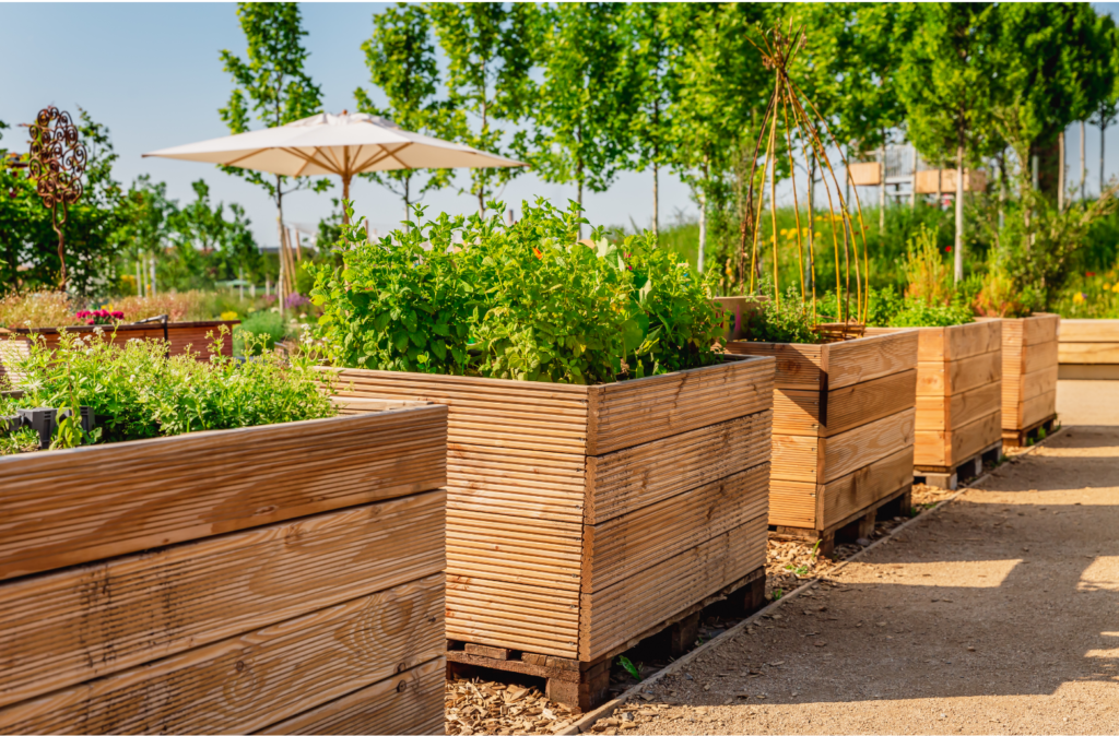 raised garden bed