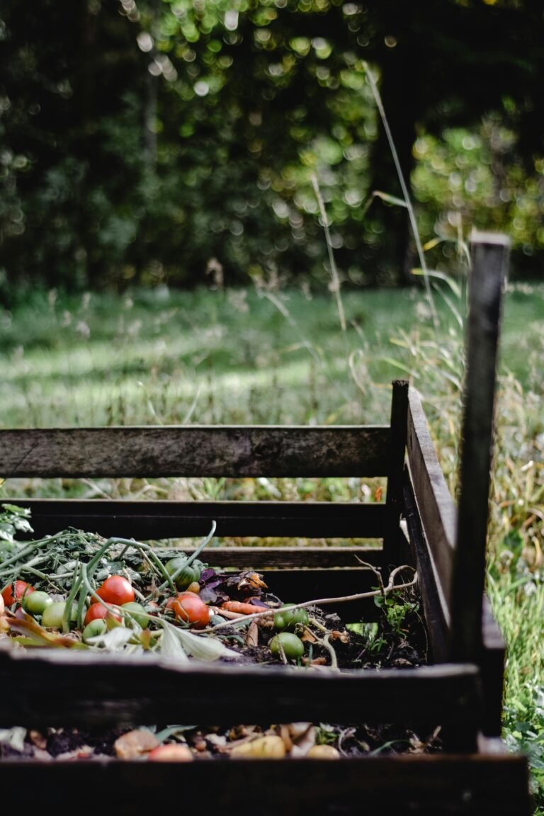 worm compost