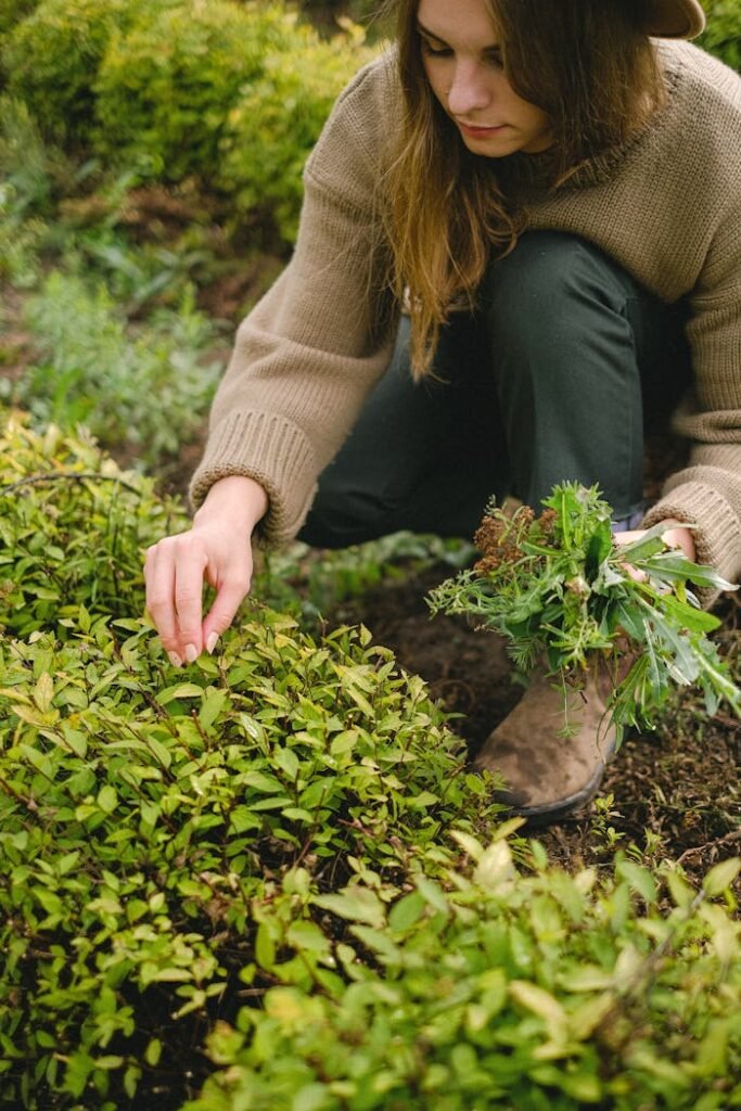 green garden planting